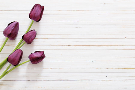 beautiful tulips on wooden backgroundの写真素材