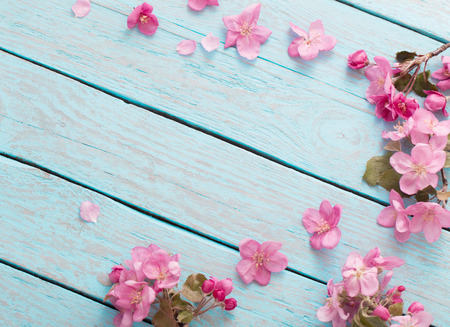 apple flowers on wooden backgroundの写真素材