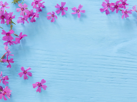 flowers on a blue wooden backgroundの写真素材
