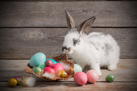 rabbit with Easter eggs on wooden backgroundの写真素材