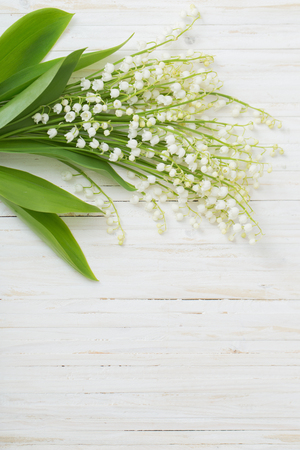may-lily on wooden backgroundの写真素材