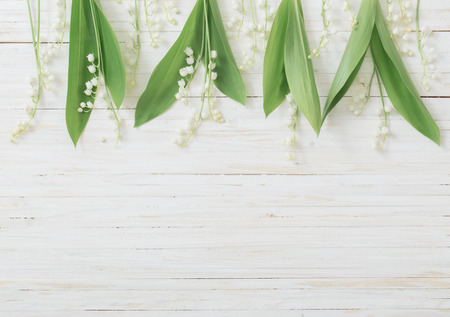 may-lily on wooden backgroundの写真素材