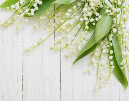 may-lily on wooden backgroundの写真素材