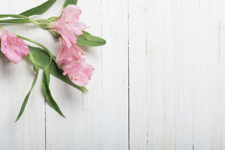Alstroemeria flowers on white wooden backgroundの写真素材