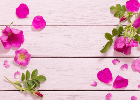 pink roses on wooden tableの写真素材