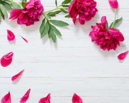 peonies on white wooden backgroundの写真素材