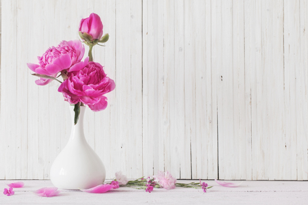 Peony flowers in vase on white backgroundの写真素材