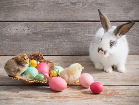 chicken and rabbit with Easter eggs on wooden backgroundの写真素材