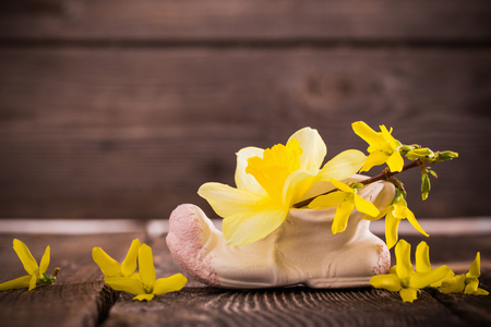 spring flowers on wooden backgroundの写真素材