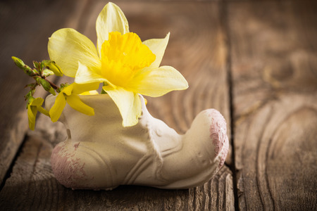 spring flowers on wooden backgroundの写真素材