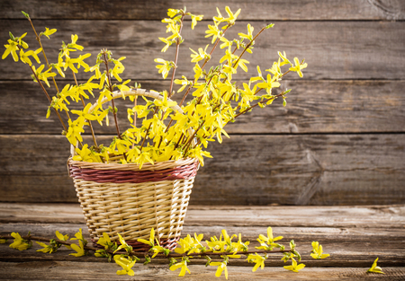still life with yellow flowersの写真素材