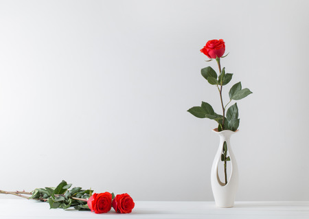 roses  on white backgroundの写真素材