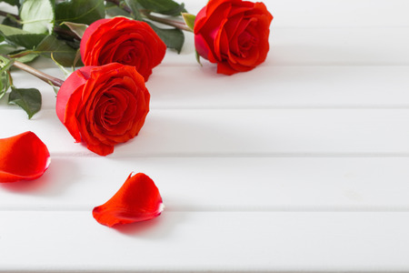 red rose on white wooden tableの写真素材