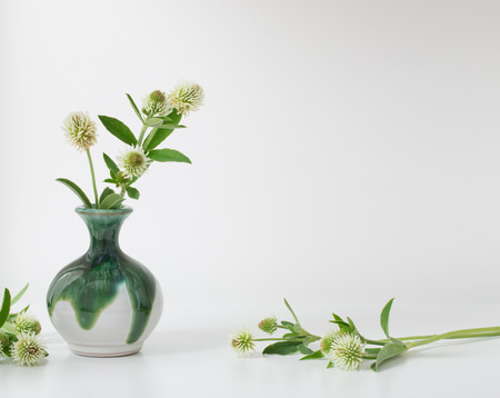 white clover in vaseの写真素材