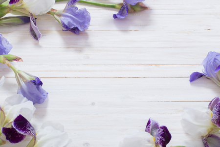 flowers on white wooden backgroundの写真素材