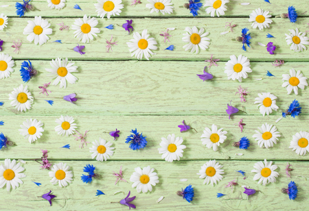 flowers on a wooden backgroundの写真素材