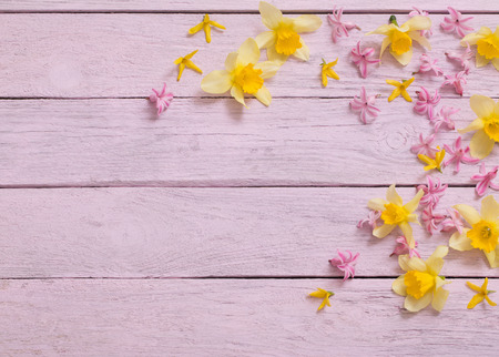 pink flowers on pink wooden backgroundの写真素材