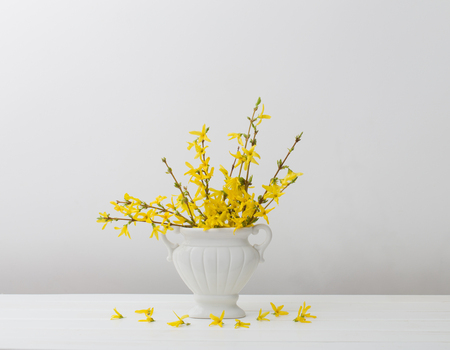 still life with spring flowersの写真素材