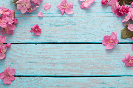 apple flowers on wooden backgroundの写真素材