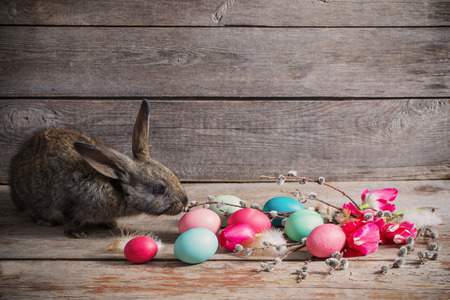 rabbit with Easter eggs on wooden backgroundの写真素材
