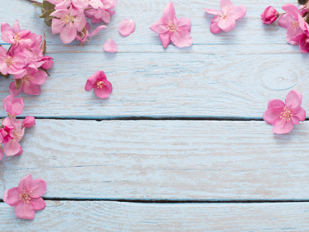 apple flowers on wooden backgroundの写真素材