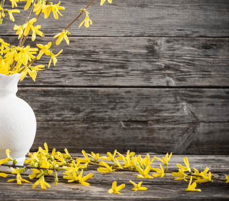 still life with spring flowersの写真素材