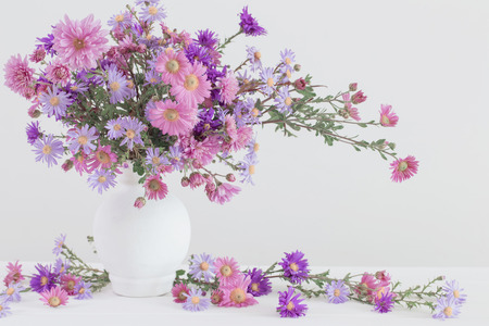 Aster amellus bouquet in ceramic vase on white backgroundの写真素材