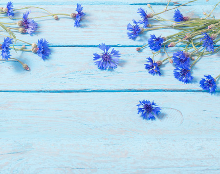 cornflowers over blue wooden backgroundの写真素材