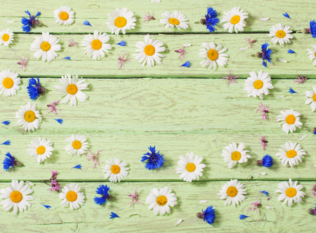 flowers over green wooden backgroundの写真素材