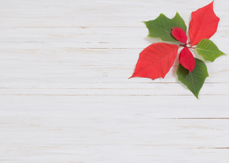 Christmas background composed of wood planks and poinsettiaの写真素材