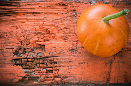 Pumpkin on orange wooden backgroundの写真素材