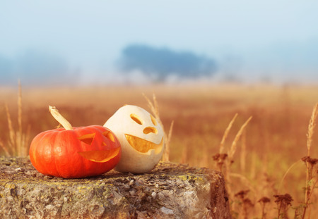 Halloween pumpkin outdoorの写真素材