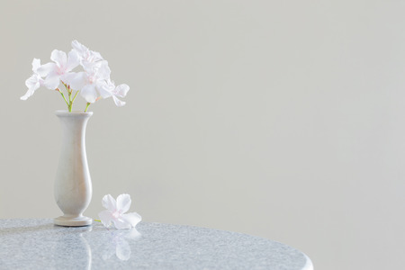 white flowers in a vaseの写真素材