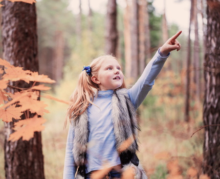 girl in autumn forestの写真素材