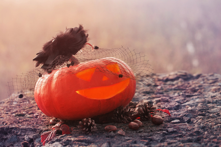 Halloween pumpkin outdoorの写真素材