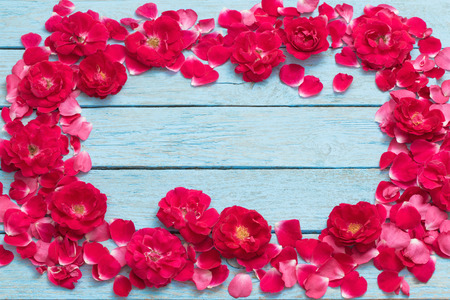 pink roses on blue wooden backgroundの写真素材