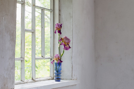 Flower vase sitting inside of windowの写真素材