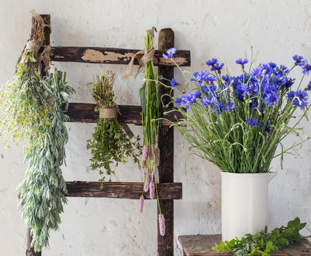 different fresh herbs on background old wallの写真素材