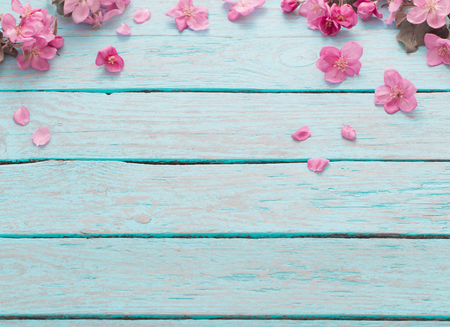 apple flowers on wooden backgroundの写真素材