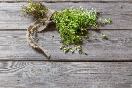 Thyme bunch on old wooden backgroundの写真素材