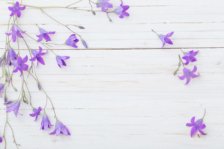 bluebel flowers om white wooden backgroundの写真素材