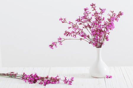 Pink flowers in a vaseの写真素材