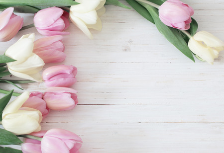 beautiful tulips on wooden backgroundの写真素材