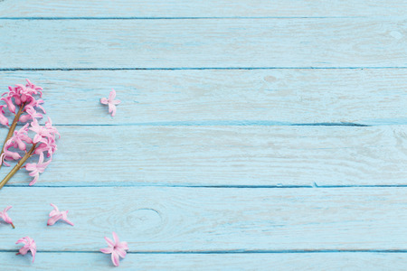 fresh flowers hyacinths on wooden backgroundの写真素材