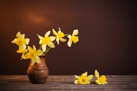 Daffodil in vase on brown backgroundの写真素材