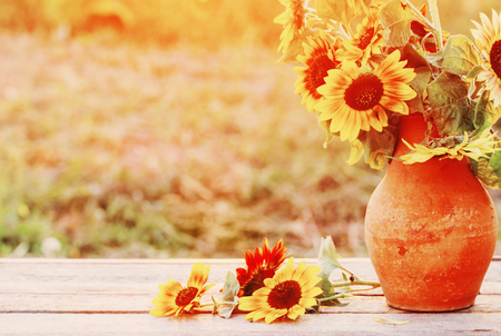 sunflowers in jug at sunsetの写真素材