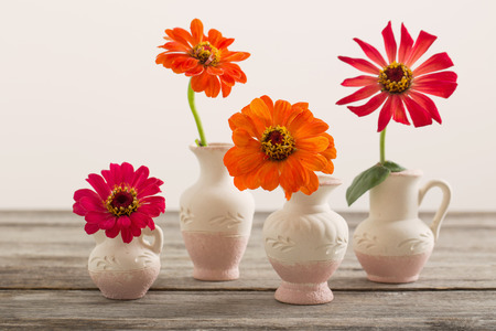 zinnia flower in a vaseの写真素材