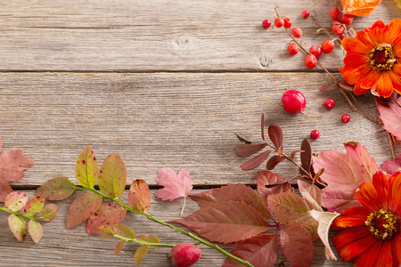 autumn backgroundの写真素材