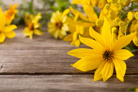 flowers on wooden backgroundの写真素材
