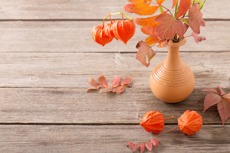 autumn backgroundの写真素材